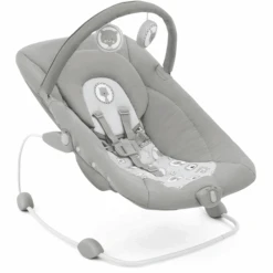 Joie Wippe Wish Portrait